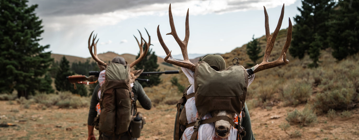Gear under $250