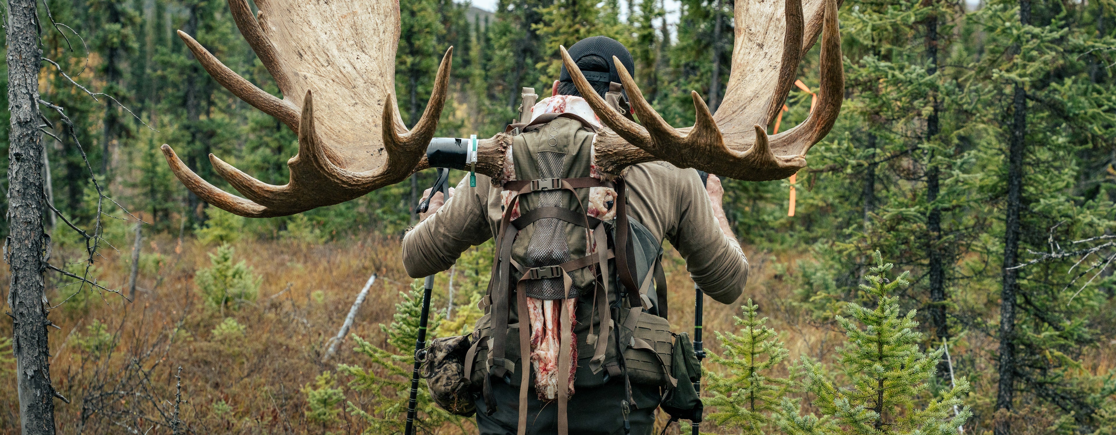 NEW Hunting Gear