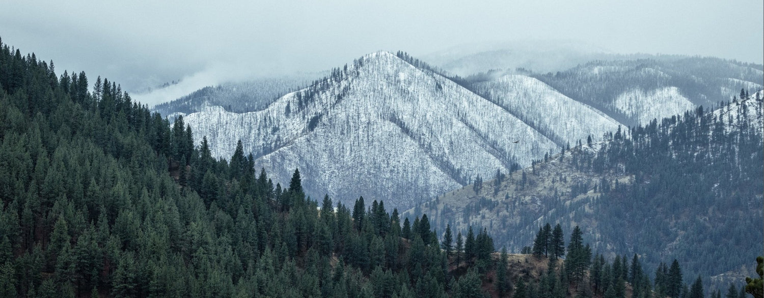 Best Selling Holiday Gifts - Eberlestock