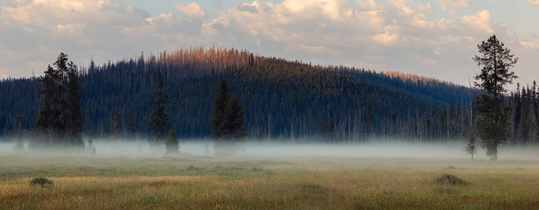 Eberlestock Outlet - Eberlestock