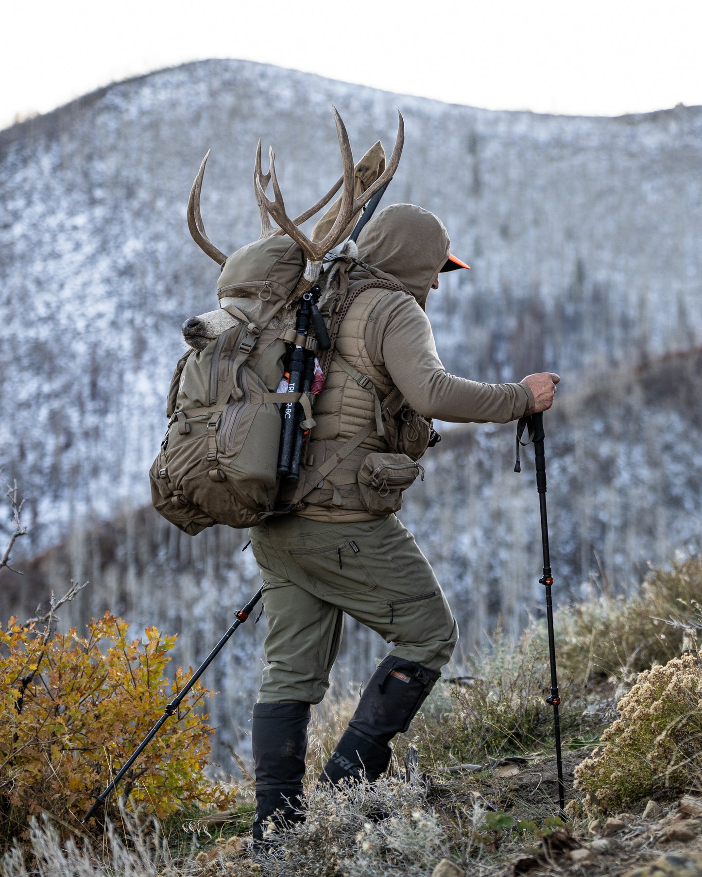 Cradle Hip Belt - Eberlestock Lifetime Warranty | Veteran Owned