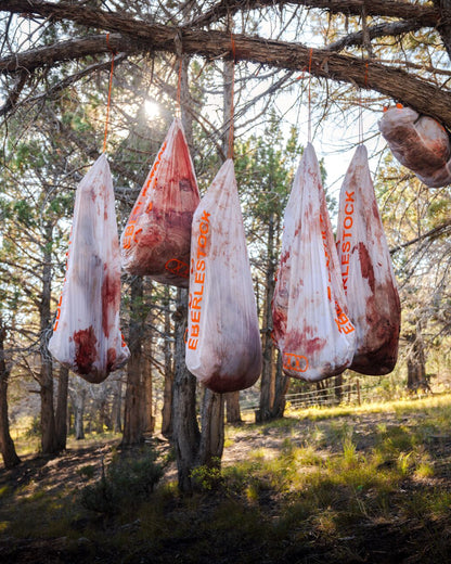 EMOD Quarter Game Bag - Eberlestock Lifetime Warranty | Veteran Owned