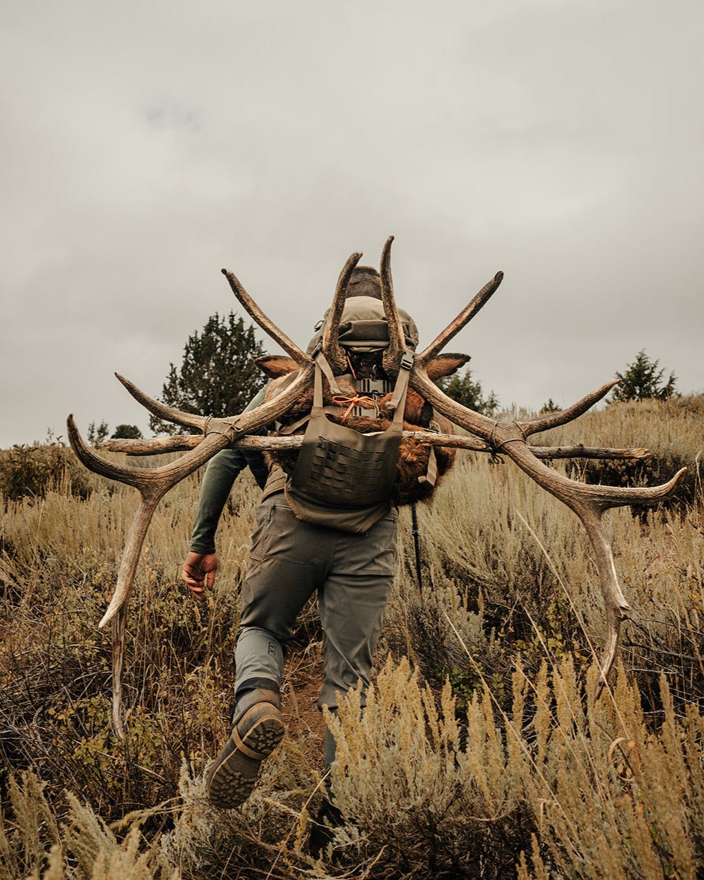 Just One Pack - Eberlestock Lifetime Warranty | Veteran Owned