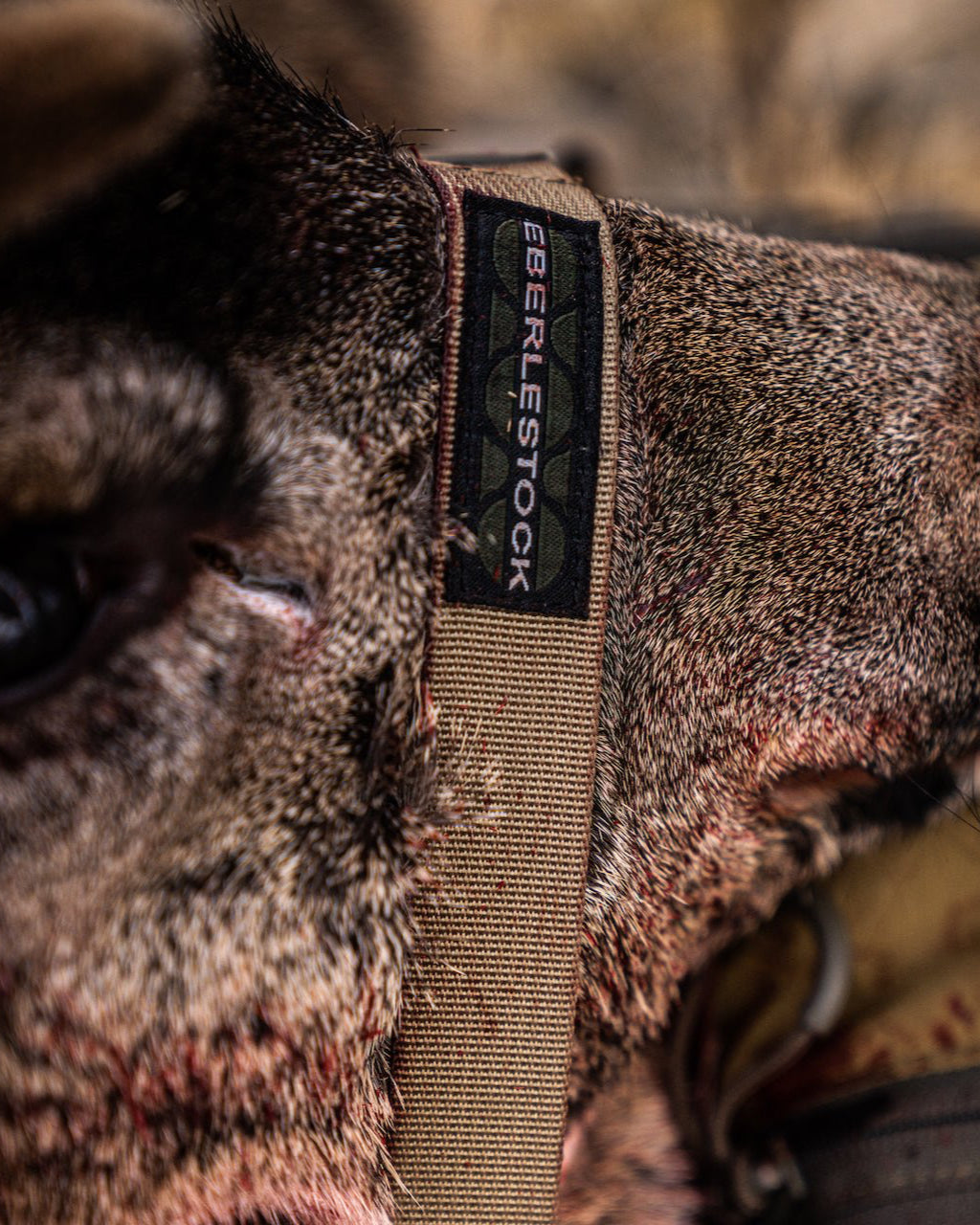 25MM Extension Straps - Eberlestock Lifetime Warranty | Veteran Owned